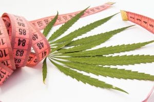 Weight loss and cannabis: A cannabis leaf lies on its side with a red tape