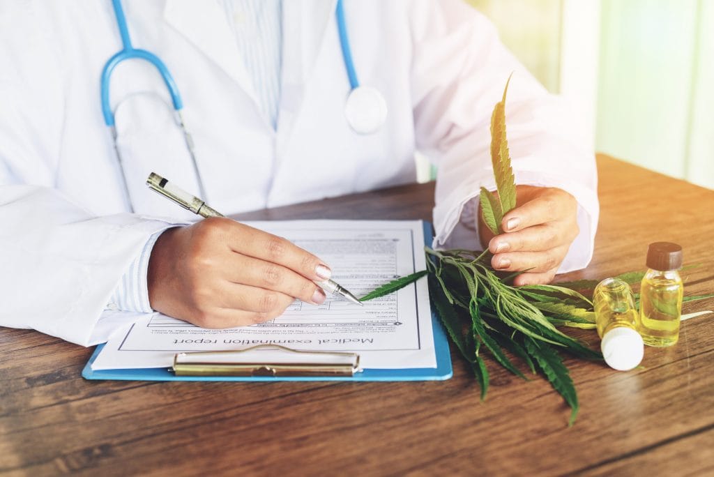 Medical Cannabis Prescriptions: A doctor in a white lab coat signed a prescription. In front of him while examining a cannabis leaf
