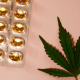 Migraine: A green cannabis leaf next to a blister packet of cannabis capsules on a salmon pink background