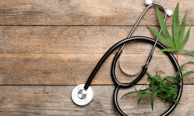 Pain level: A doctors stethoscope next to two cannabis leaves on a wooden surface