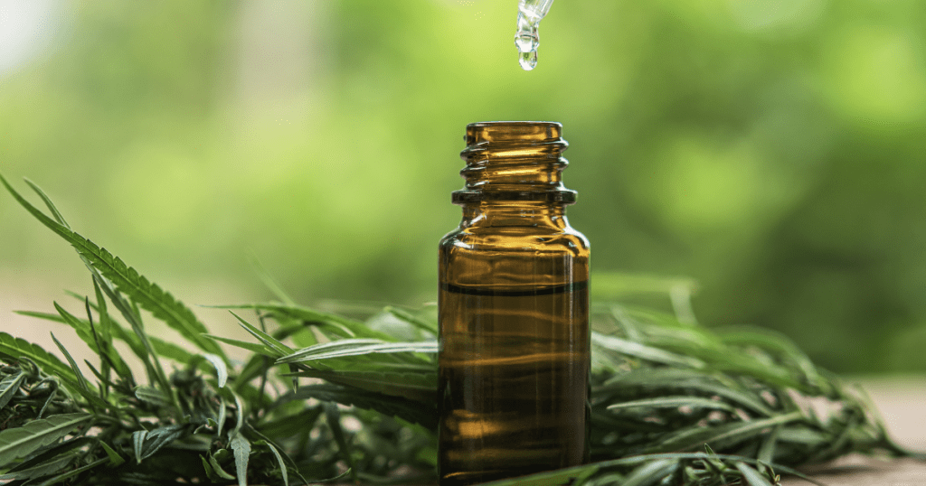 Fibromyalgia: A small bottle of oil on the surface surrounded by cannabis leaves