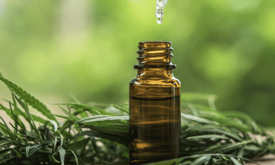 Fibromyalgia: A small bottle of oil on a surface surrounded by cannabis leaves