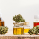 Obesity: A row of yellow CBD oil in small bottles with cannabis flowers around them