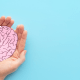 Schizophrenia: Two hands holding a pink paper brain