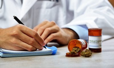 Twenty21: A doctor writing a prescription for medical cannabis with bottles of flower open in front of themn