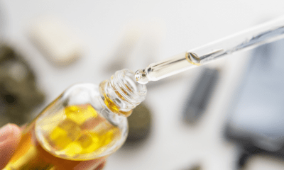 Patients: A person holding a bottle of yellow cannabis oil with a dropper