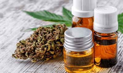 Patients: A collection of brown bottles containing CBD oil, cannabis and a green cannabis leaf on a wooden surface