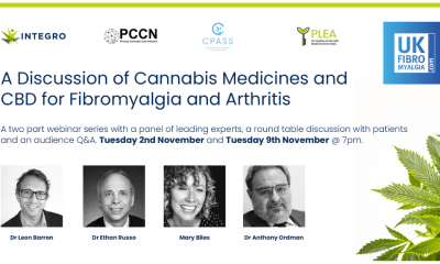 Cannabis Medicines: A banner advert for the webinar on cannabis medicines