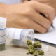 Quiz: A collection of medical cannabis pills, leaves, bags, oils,