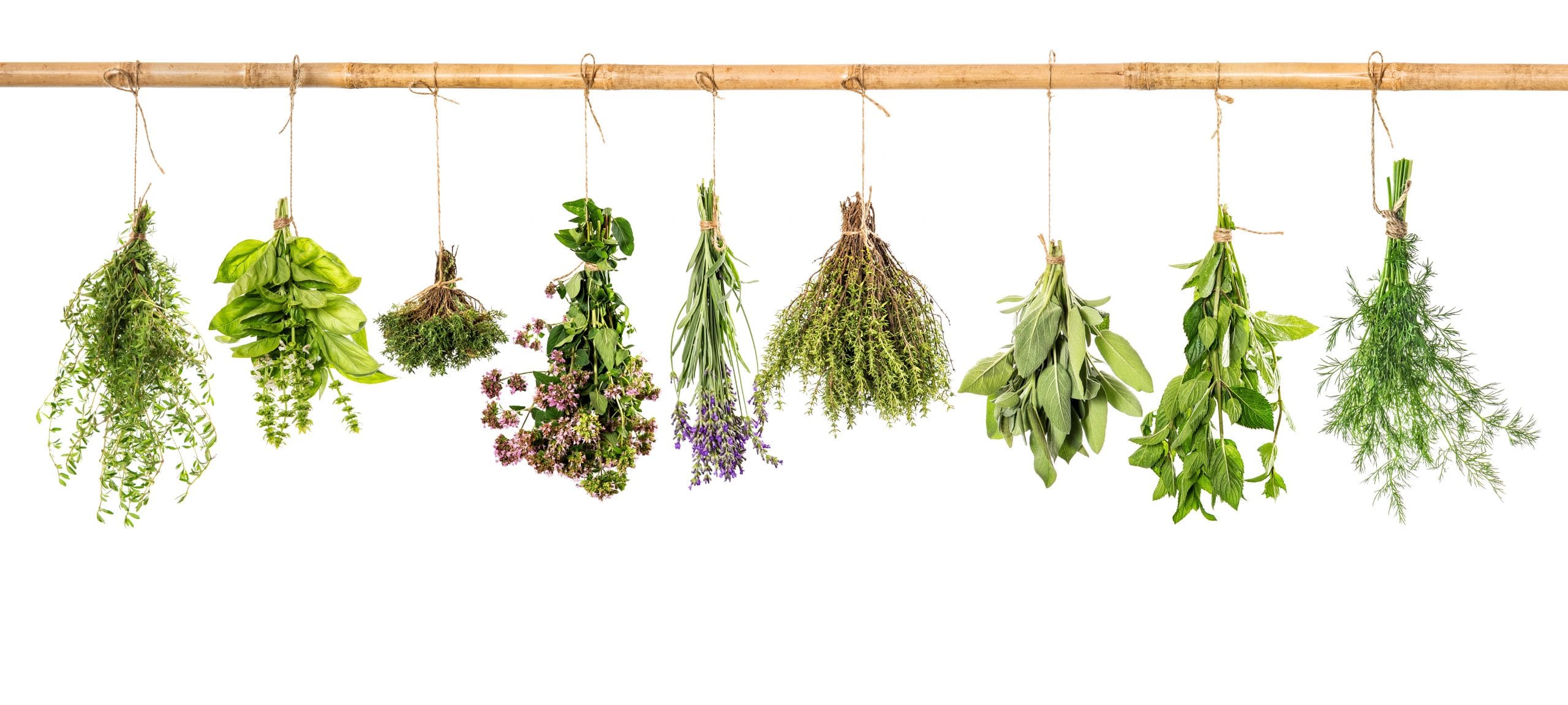 Sleep: A row of herbs hanging to dry