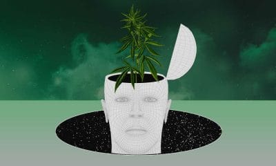 Anxiety: Cannabis Juicyfields