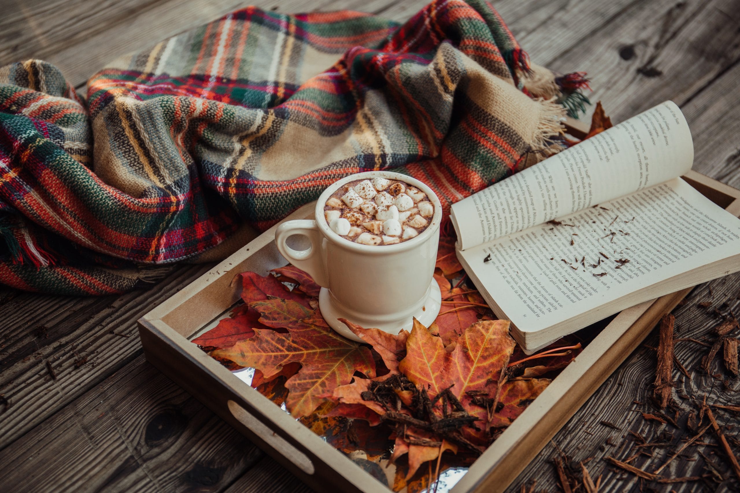 Christmas: A cosy bed with a book, throw and hot chocolate with CBD