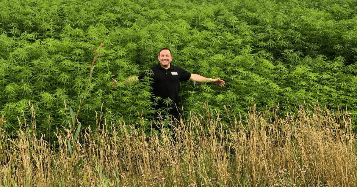 British cannabis CEO in a field of cannabis