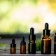 CBDA: A row of brown bottles of cannabis oil