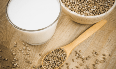 Hemp milk: A glass of hemp milk and seeds on a wooden surface