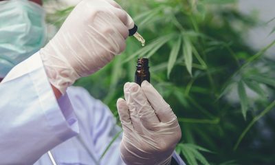 Pebble Life Sciences, a Texas-based cannabinoid company has partnered with a leading US cancer research centre