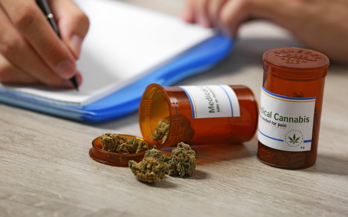 Is government finally recognising the potential of a medicinal cannabis industry?