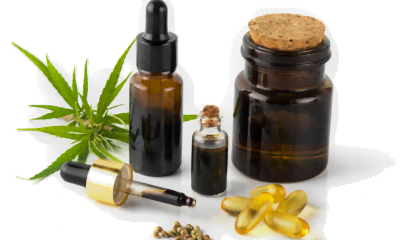 CBD or cannabis for autism spectrum disorder (ASD) could it help with managing symptoms?