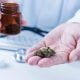 Experts question new study on cannabis use disorder in patients