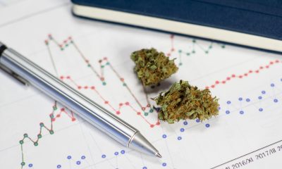 Medical cannabis effective in Tourette’s syndrome - study