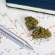 Medical cannabis effective in Tourette’s syndrome - study