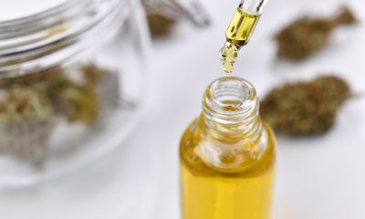 Unlocking medical cannabis’ mechanism of action in autism