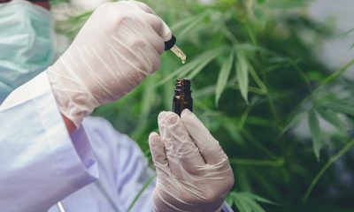 The role of cannabinoids in treating cannabis use disorder