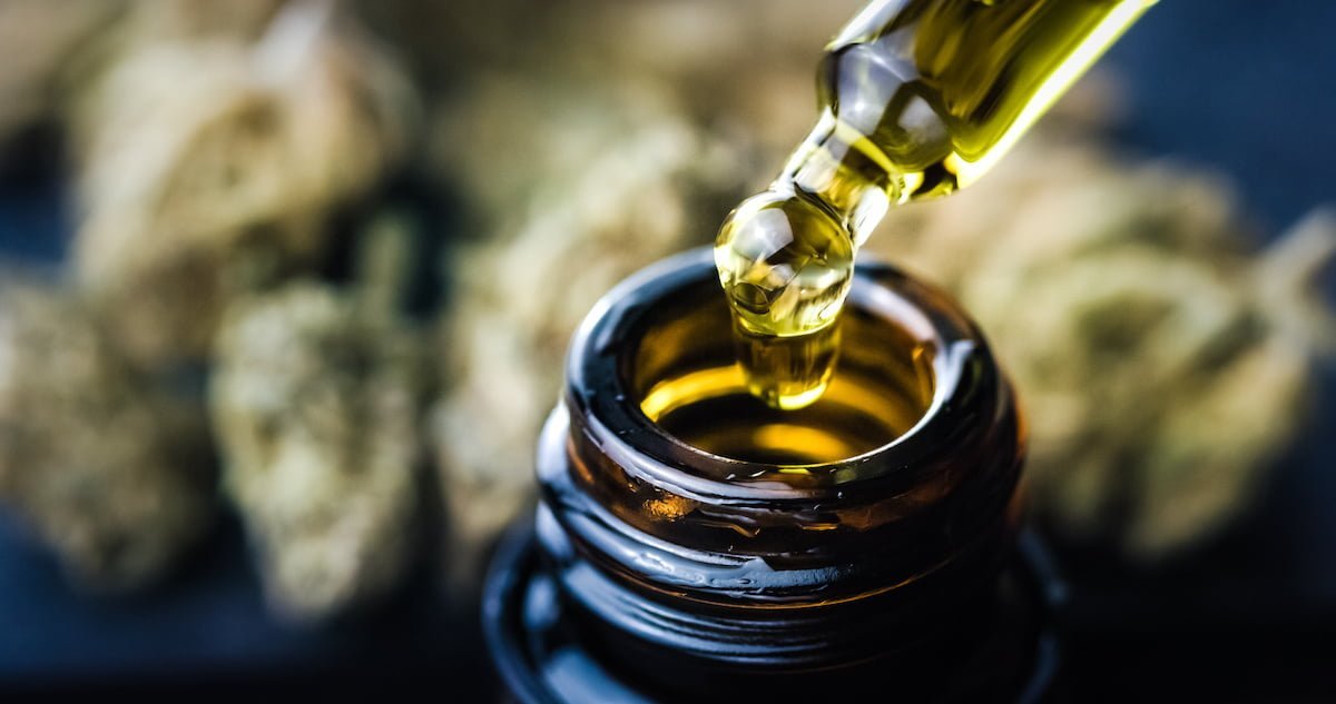 Can CBD extend lifespan? New evidence suggests so