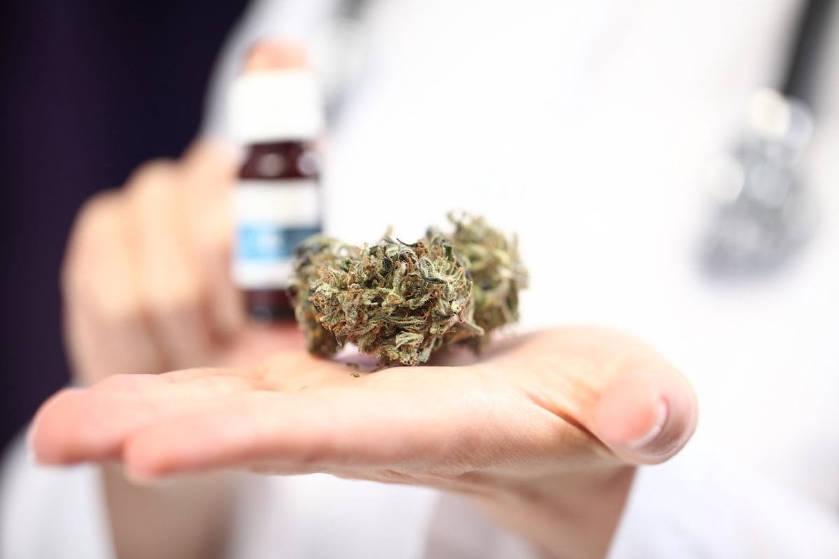 Experts on everything you need to know about medical cannabis