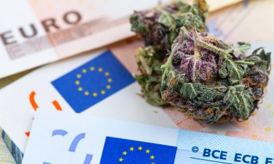 europe's medical cannabis patients