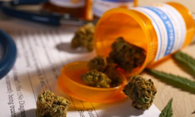 The most common reasons cannabis is being prescribed in Australia