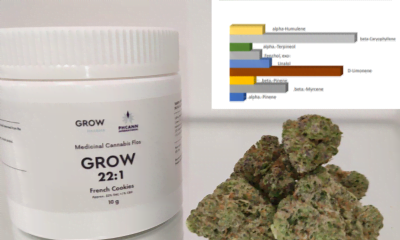 Grow Pharma launches new low-priced flower range for UK patients