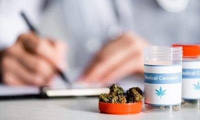 GPs should prescribe medical cannabis, says industry review