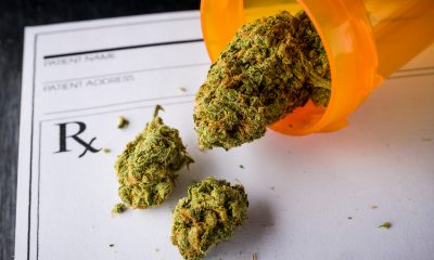 UK doctors present “leading” research on medical cannabis