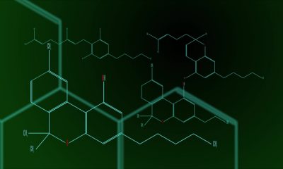 CBN, CBC and CBDa - the cannabinoids to have on your radar