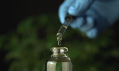 Four new medical cannabis studies