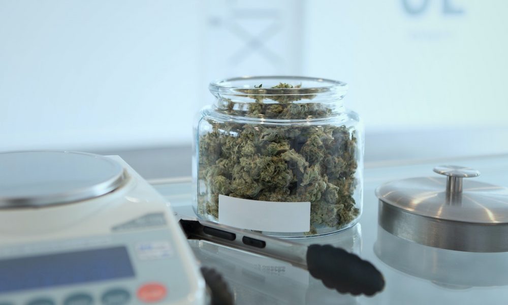 Study highlights training gaps among US cannabis dispensaries