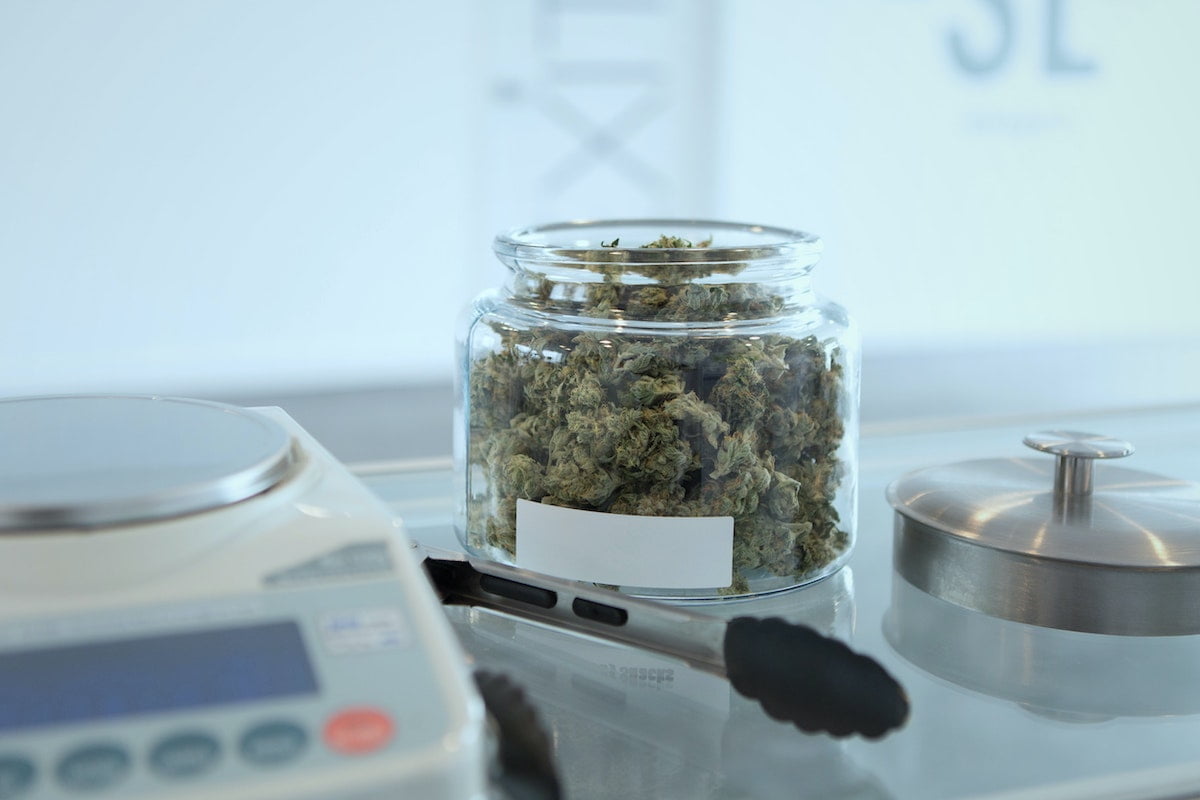 Study highlights gaps in training among US cannabis dispensaries