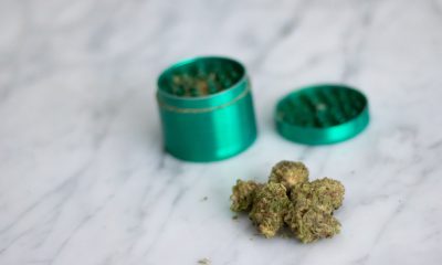 Legalisation boots cannabis use but not adverse consequences - study