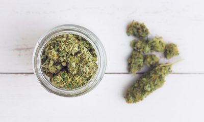Finding the right balance: the benefits of mixing THC and CBD flower
