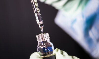 Researcher studying bottle of cannabis oil