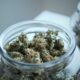 Legalising cannabis does not increase substance misuse - study
