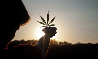 10 cannabis trends to watch out for in 2023