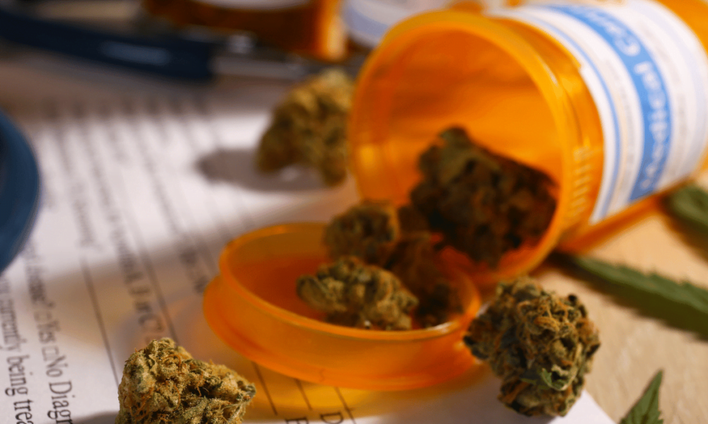 Essais français de cannabis médical – 91% des patients soutiennent la légalisation