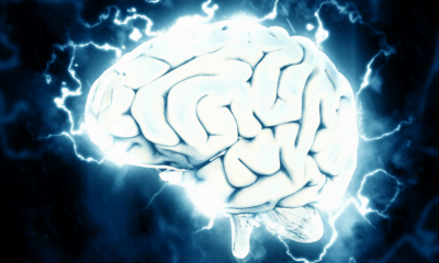 Study reveals how CBD helps counter epileptic seizures