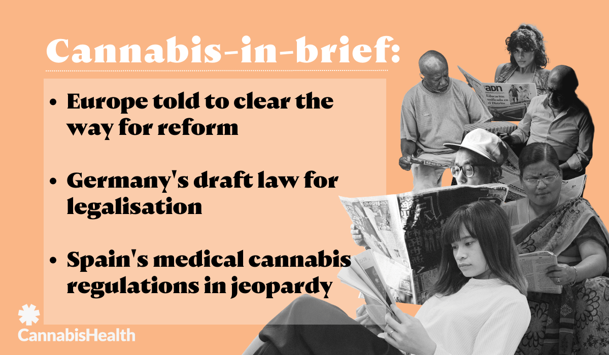 Cannabis-in-brief: Europe told to clear way for reform, Germany's draft law and Spain's 'unfulfilled promises'