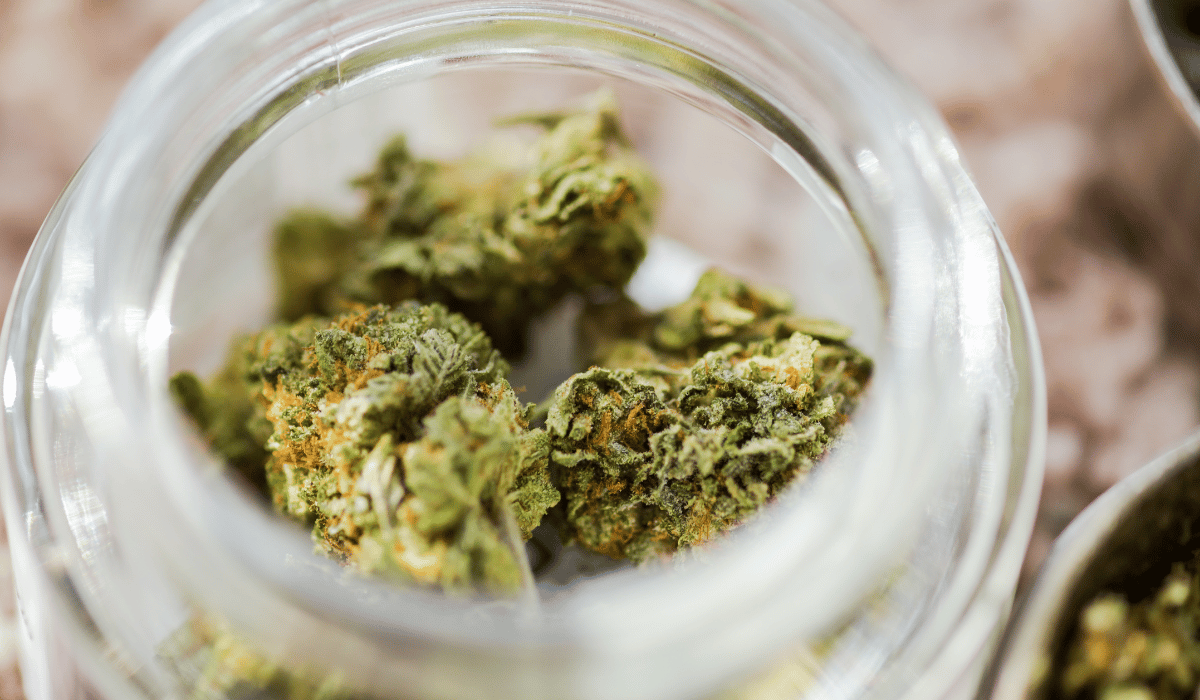 Study finds no link between high-THC cannabis and psychosis